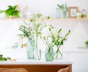 dunelm bowls